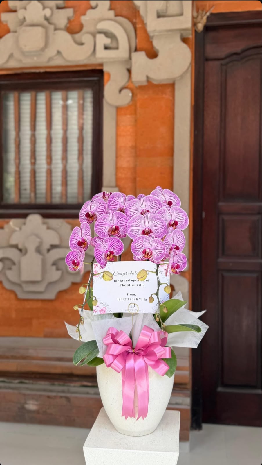The Duo orchid arrangement — Orchid Bali arrangement photo 1 of 6