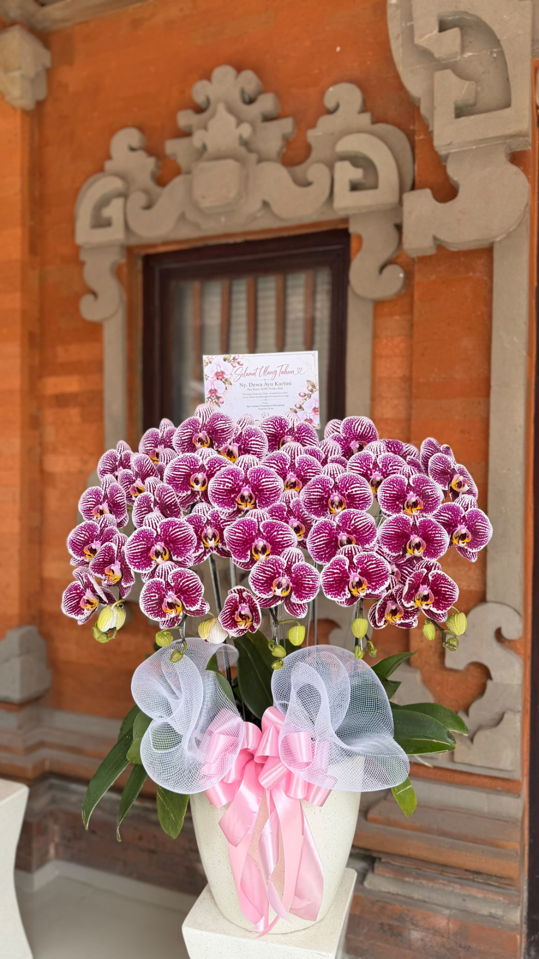 The Quintet orchid arrangement — Orchid Bali arrangement photo 1 of 10