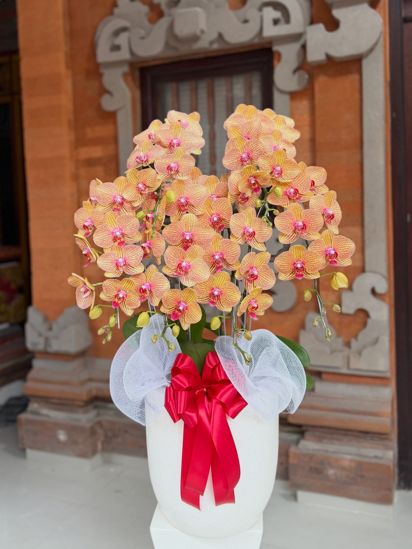 The Half Dozen orchid arrangement — Orchid Bali arrangement photo 1 of 5