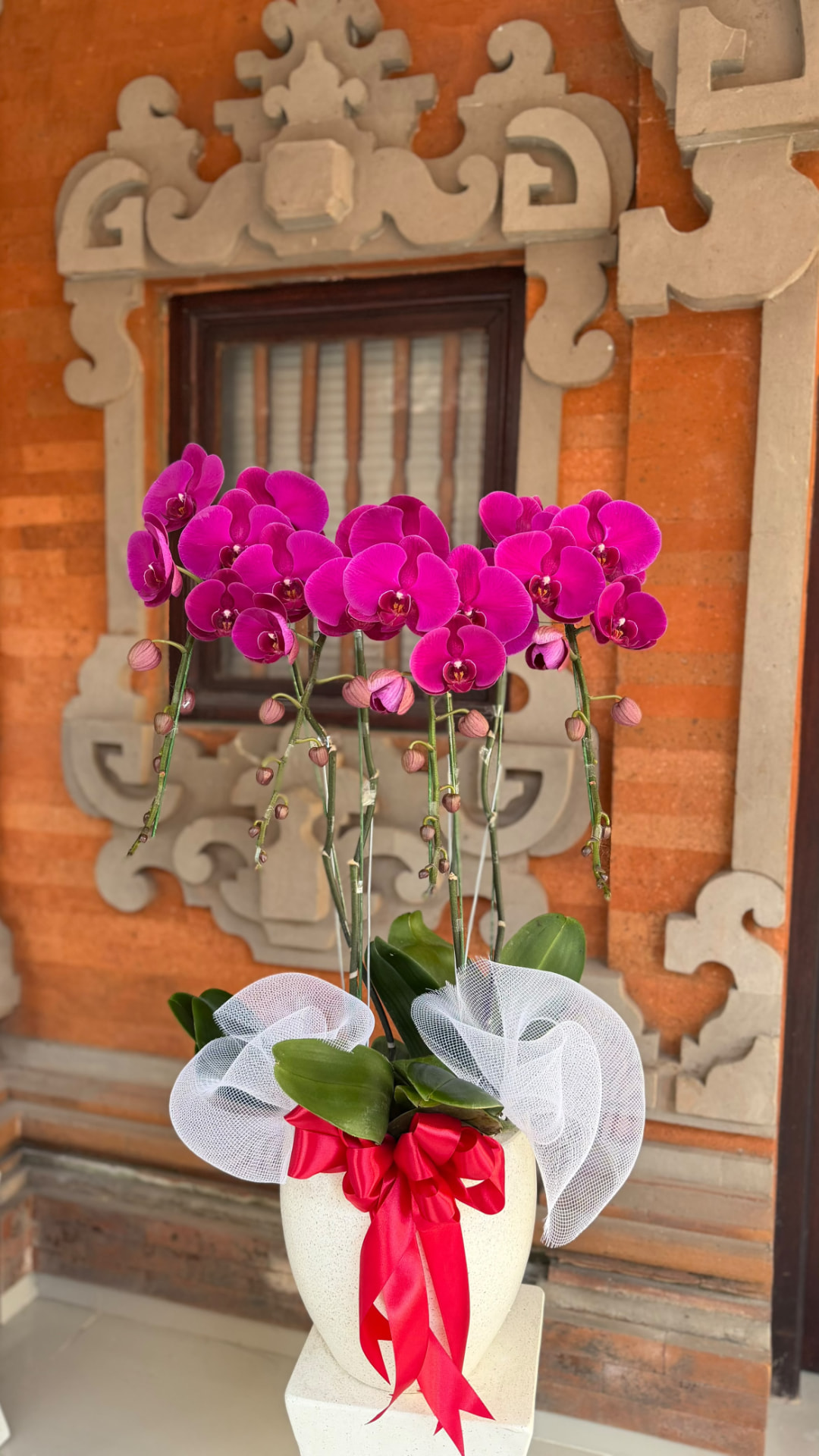 The Quartet orchid arrangement — Orchid Bali arrangement photo 1 of 5